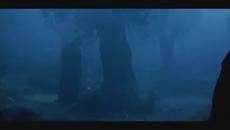 Днес е Голяма Богородица! Честит имен ден на всички с името Мария!Ти ме въздигаш (You Raise Me Up) - Videoclip.bg