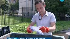 Какво рискуваме, когато изхвърлим ЕГН-то си? - Videoclip.bg