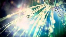 Eldar Mansurov Lirik pyes - Videoclip.bg