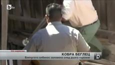 Властите в Лос Анджелис заловиха избягала кобра албинос - Videoclip.bg