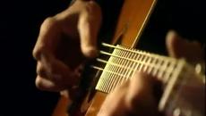 Roger Waters - Brain Damage - acoustic version - Videoclip.bg