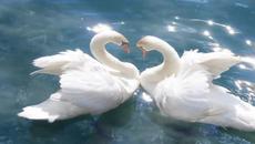 Antonis Remos - Ma de ginetai~1 - Videoclip.bg