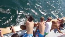 Морска разходка в Черно море - Супер готин купон на корабче в Слънчев Бряг - Videoclip.bg