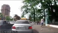 Пешеходец към шофьор замърсител на улицата - Videoclip.bg