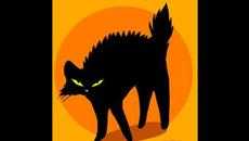 КОТКАТА НА БАБА ЯГА.ВЕСЕЛО ДЕТСКО СТИХЧЕ - Videoclip.bg