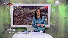 Семейство напусна София, за да живее в къща от слама - Videoclip.bg