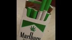 Krisko - Tq e Ky4ka - Videoclip.bg