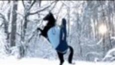 Къде Отивам ! Chyi Yu -  Donde Voy (Where I'm Going) - Videoclip.bg