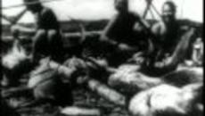 Тур Хейердал (Kon-Tiki Thor Heyerdahl) е норвежки морски биолог - Videoclip.bg