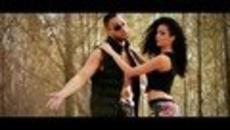 Сръбския кавър на Видимо доволни  - Mc Stanko Feat. Mc Beka - Palim - Videoclip.bg
