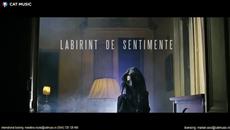 Narcotic Sound And Christian D - Labirint De Sentimente - Videoclip.bg