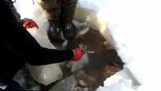 Руски изобретателни рибари ловят по елегантен начин щука в замързнало езеро - Videoclip.bg