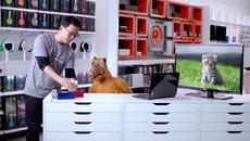 Алф си купува Samsung Galaxy от ужас посред нощ - Videoclip.bg