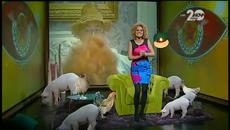 Вип Brother (09.10.2014) ТКЗС Цял Епизод 1 - Videoclip.bg