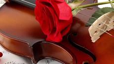 Ухание на рози и струни на китара - Videoclip.bg