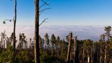 Мъж снима небето в продължение на 7 дни - ще видите нещо удивително! - Videoclip.bg