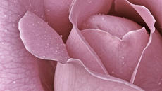 Любов..и.. Дъжд...... Love and Rain...(In love guns01) Георги - Videoclip.bg