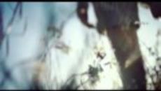 Joe Cocker - I Who Have Nothing - Аз, Който Нямам Нищо - Videoclip.bg