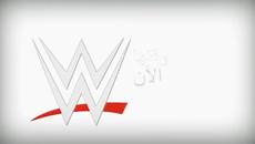 Wwe Smackdown - Разбиване 17.10.2014 Част 1/2 - Videoclip.bg