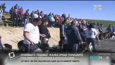 Български овчарски кучета ще дефилират в Разлог - Videoclip.bg