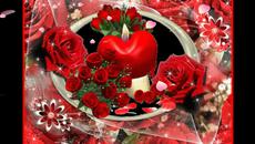 Francis Goya... ... Million Roses... ... - Videoclip.bg