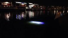 Извънзмено във водите на пристанище Бристол Харбър плува е стряска хората!!!! Честит Хелоуин! - Videoclip.bg