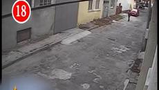 Господари на ефира - Пореден акт на насилие над животно - Videoclip.bg