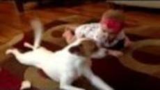 Buddy's Baby Crawling School - Videoclip.bg