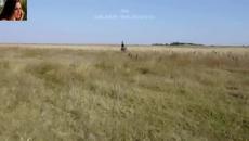 Лепа Брена Lepa Brena - Biber - Videoclip.bg