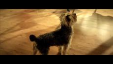 Alexandra Stan - Lemonade - Videoclip.bg
