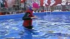 VIP Brother 2014 (05.11.2014) - част 2 - Videoclip.bg