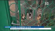 Затвор за мъж, убил куче по особено жесток начин 05.11.2014 - Videoclip.bg