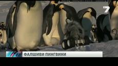 Внедрен робот пингвин изследва живота им 05.11.2014 - Videoclip.bg