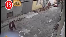 Прокуратурата се зае с убиеца на малкото коте - Videoclip.bg