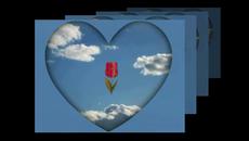 I give you all my love and heart!!...(music Richard Clayderman)... ... - Videoclip.bg