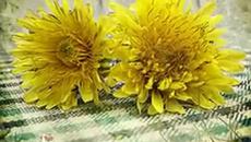 I Don't Like To Sleep Alone - Videoclip.bg