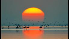 Романтика на брега на морето... ... - Videoclip.bg