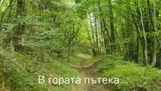 Сън  Sleep - Videoclip.bg
