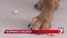 Куче спаси дете в триметрова шахта - Videoclip.bg