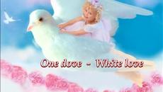 One dove - White love ... - Videoclip.bg