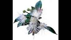 The innocent purity... ...(music Giovanni Marradi)... ... - Videoclip.bg