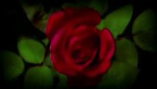 За теб ! - Videoclip.bg