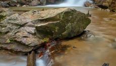 Музикален Свят! Êve Brenner - Le Matin Sur La Rivière - Videoclip.bg