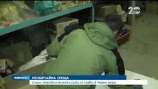 Опасност! Силно отровна японска риба се появи в Черно море - Videoclip.bg