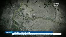 Дърво на Годината 2014 - Чинар от село Арчар представя България пред Европа - Videoclip.bg