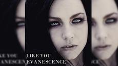 Жестока песен! Evanescence - Like You [stereo audio] - Videoclip.bg