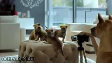 Трудно е да бъдеш баща - Videoclip.bg