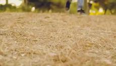 Papa Joe & Sergio Conttreras - Laura - Videoclip.bg