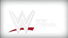 Wwe Smackdown - Разбиване (17.12.2014) Част 1/2 (super Smackdown) - Videoclip.bg
