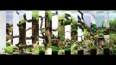 Прекрасен подводен свят - Videoclip.bg